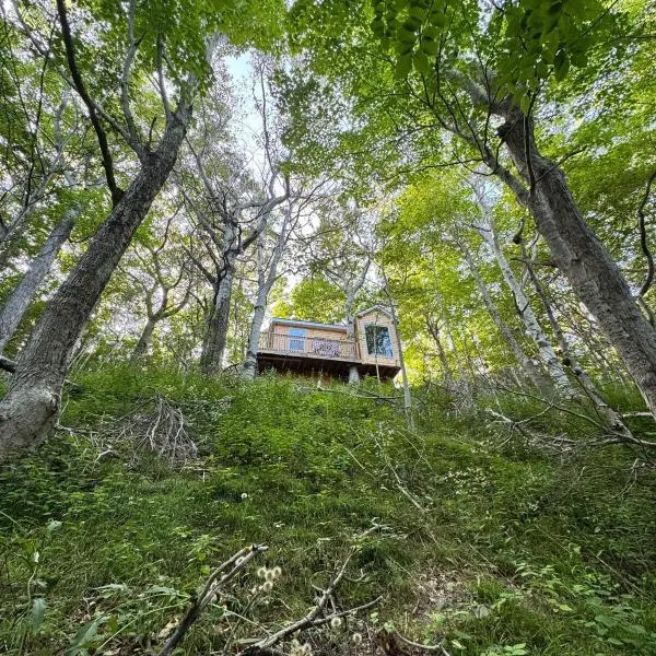 Ananda - Enchanted Forest Hideaway，位于普莱森特贝的酒店