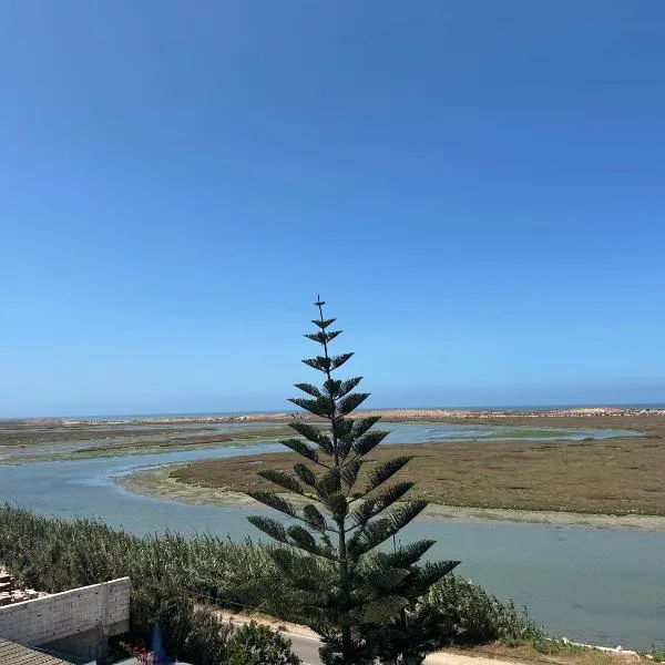 Vue imprenable sur l'océan, séjour agréable garantie，位于杰迪代的酒店