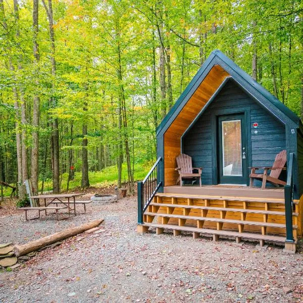 A-frame 1,位于Gaines的酒店