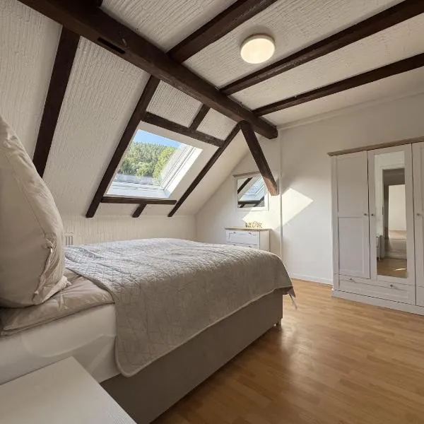 Ramoni Apartments - Bad Wildbad，位于Hochwiese的酒店