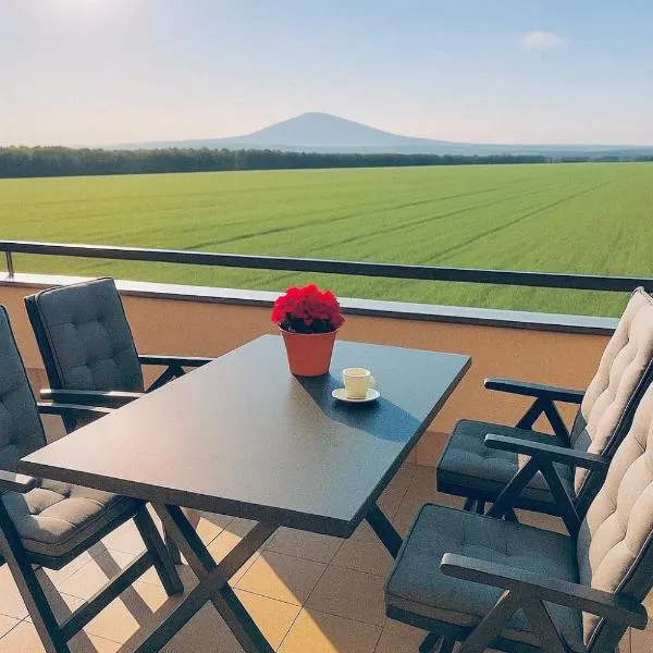 Brockenblick，位于Blumenberg的酒店