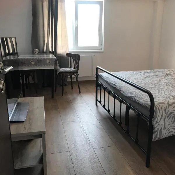 The Ozzy Room,位于布拉索夫的酒店