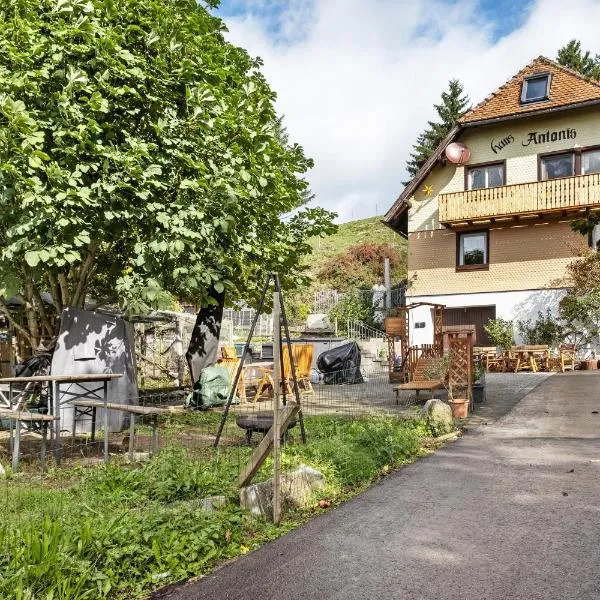 Haus Antonis，位于特里贝格的酒店