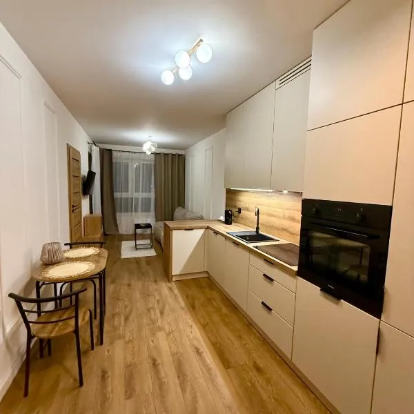 LOFT Apartament I Opole，位于奥普尔的酒店