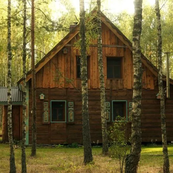 Biały Las Magiczna Stara Chata Puszcza Białowieska，位于Starzyna的酒店