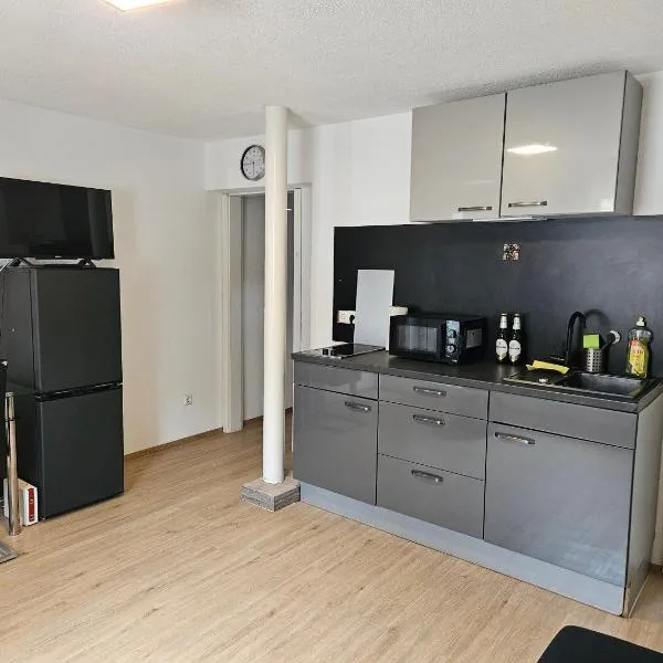 Gemütliche Wohnung in Happenbach，位于阿巴斯塔特的酒店