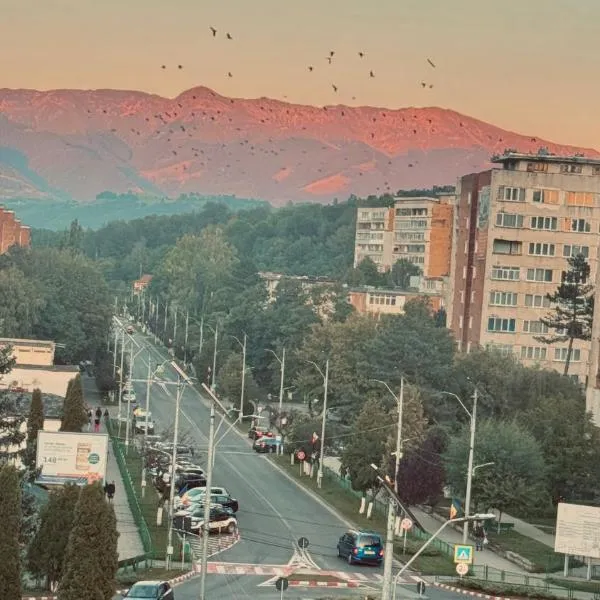 Vulcan Apartment，位于Vulcan的酒店