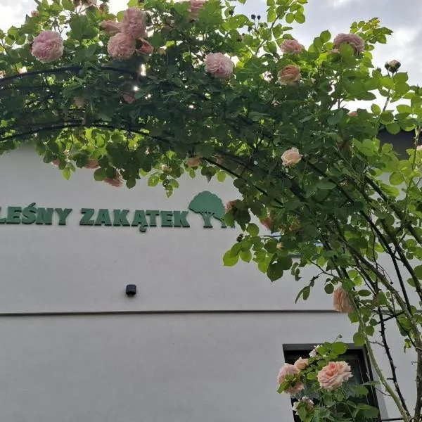 Leśny Zakątek，位于维斯瓦的酒店