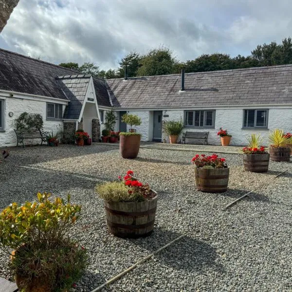 Gwyllt Cottages，位于德维兰的酒店