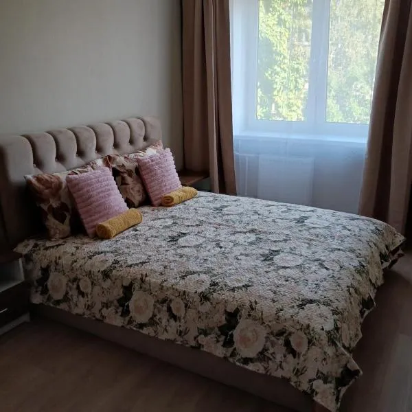 Daugavpils III Apartment，位于陶格夫匹尔斯的酒店