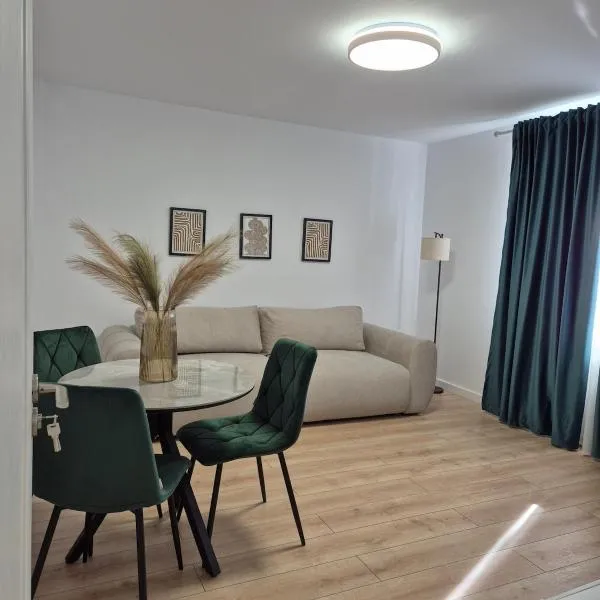 D&D Central Apartment，位于图尔恰的酒店