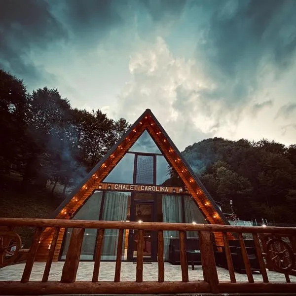 Chalet Carolina，位于Padeş的酒店