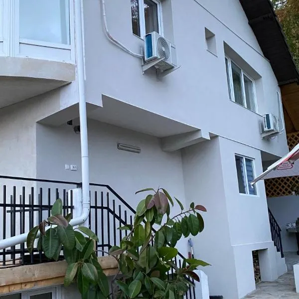 Casa NICORAD Camere，位于Pucioasa的酒店