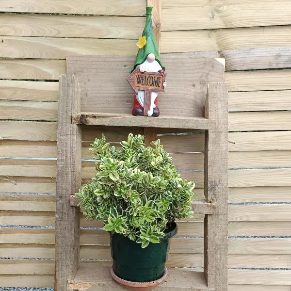 Chez Colette，位于Aucey-la-Plaine的酒店