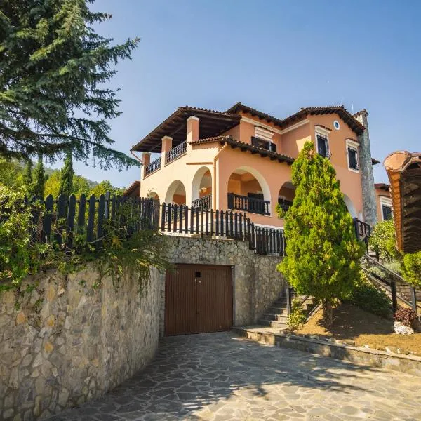 Villa Tethys Mountain Resort，位于Zákas的酒店