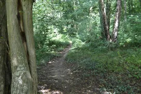 Pause Nature N，位于La Calamine的酒店