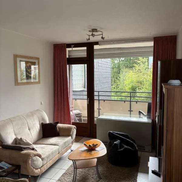 Francis Apartment am Mountainbike-Park,位于温特贝格的酒店