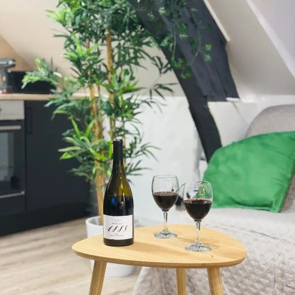 L' URBAN Jungle - Evasion en centre-ville，位于鲁昂的酒店