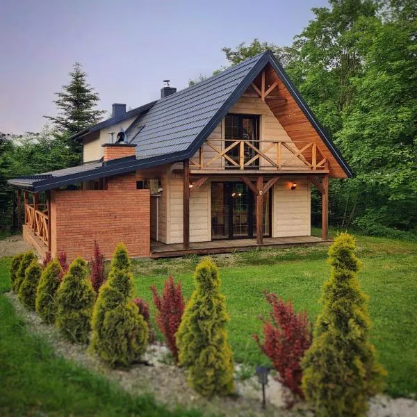 Willa Spokojna Przystań nad Strumykiem，位于Wisłoczek的酒店