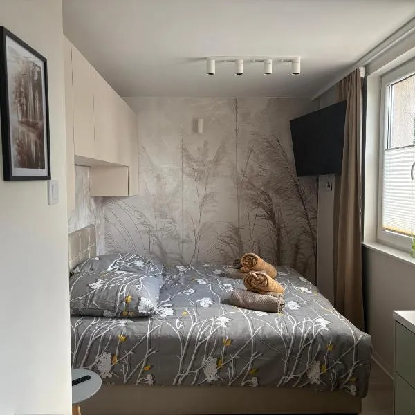 Apartament K&M w Lubniewicach，位于卢布涅维采的酒店