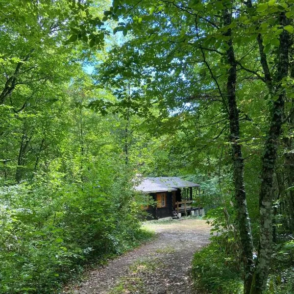 Refuge Nature - Chalet avec Terrasse vue forêt，位于Thury的酒店