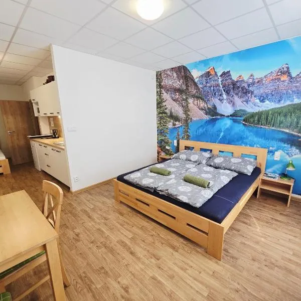 Studio Havelka，位于泽勒兹纳·鲁达的酒店