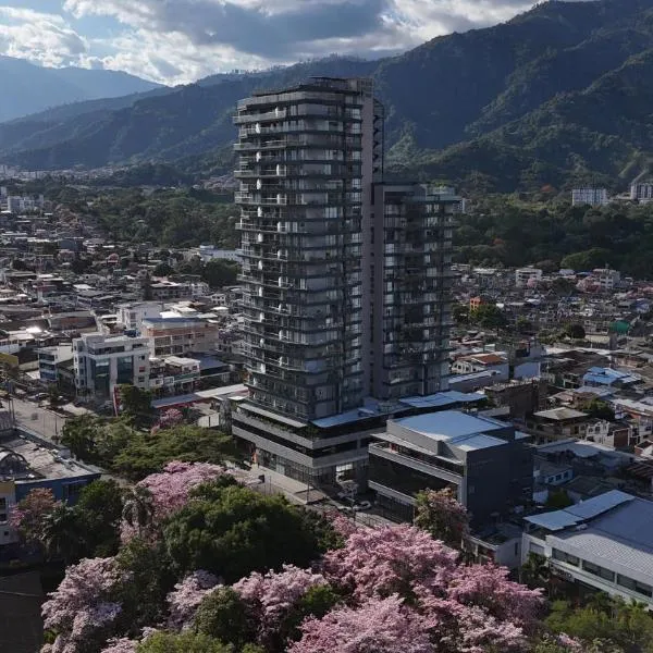 FR Hotel，位于伊瓦格的酒店