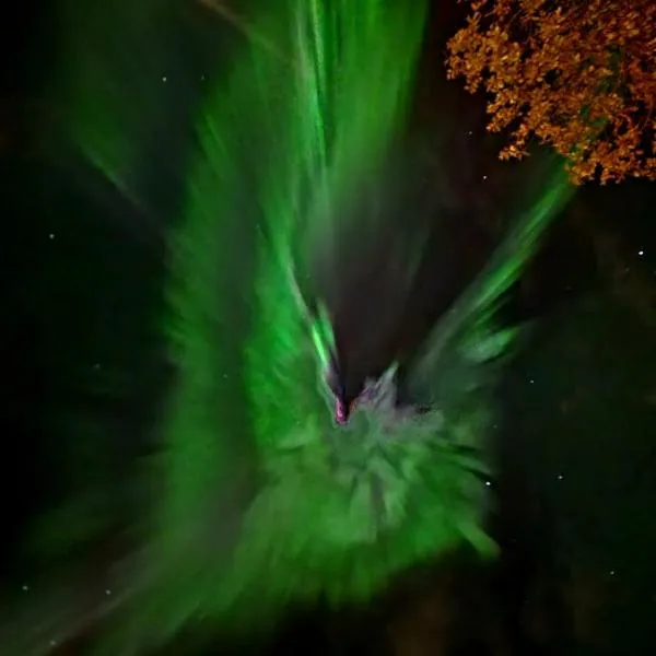 Fishermens House, 3 bedrooms apartment near the sea Medby Senja，位于Senja的酒店