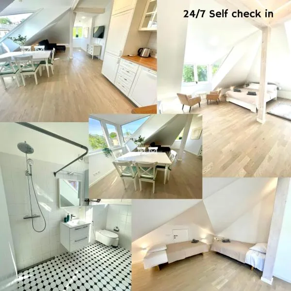 Luxury Central Apartment Easy Kaunas，位于考纳斯的酒店