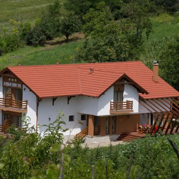 Pensiunea Casa din Vii，位于Şeuşa的酒店