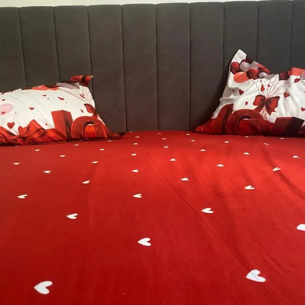 Garsonieră stil hotel，位于斯拉蒂纳的酒店