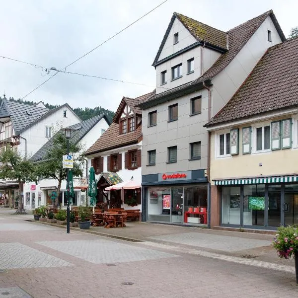 Haus Schiltach，位于施兰贝格的酒店