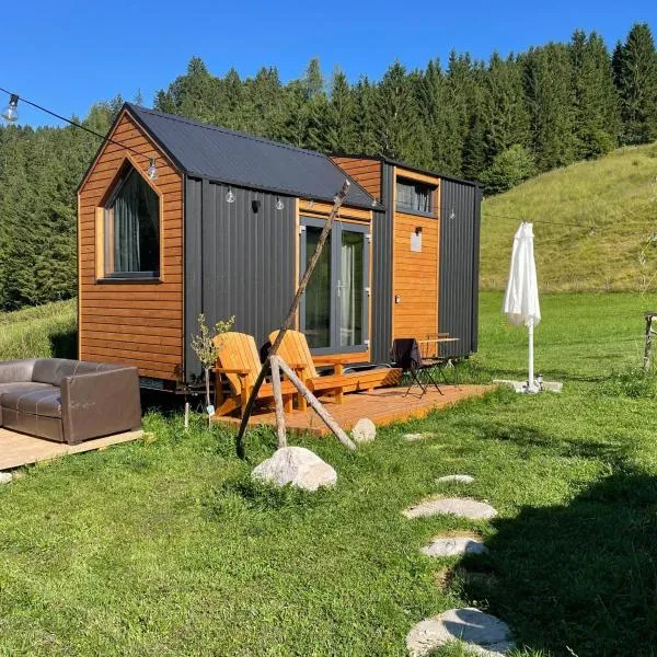 The Alpine Experience by Tiny Away，位于Zell-Freibach的酒店