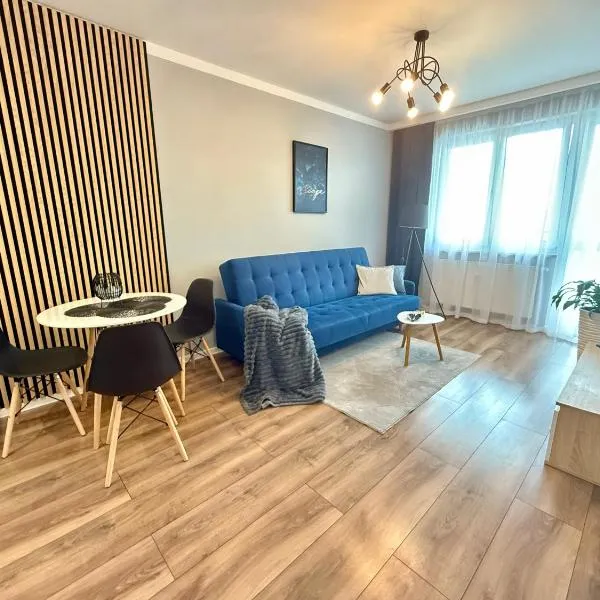 Loft Apartament 1，位于乔左维尔考普尔斯基的酒店