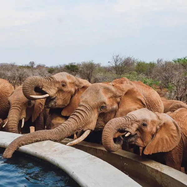 Mbazo Safari Collection，位于兰斯堡的酒店