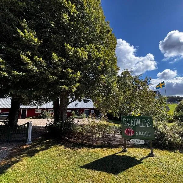 Bäckdalens Bed and Breakfast & Café，位于巴斯塔德的酒店