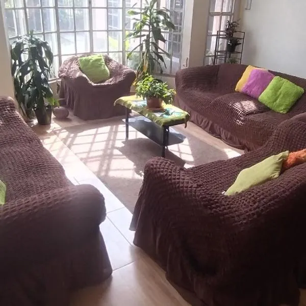 Boquete Guest House，位于Alto Boquete的酒店