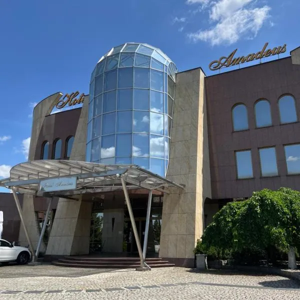 阿玛迪斯酒店，位于希隆斯克地区沃济斯瓦夫的酒店