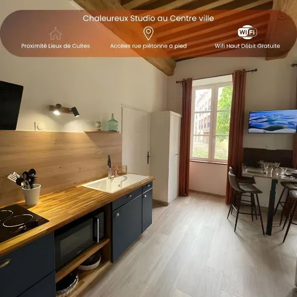 Chaleureux studio - Au Coeur du Centre ville，位于帕雷·勒·毛尼尔的酒店