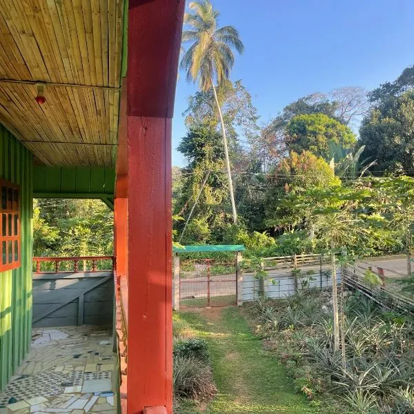 Casas Salomão，位于Santo António的酒店