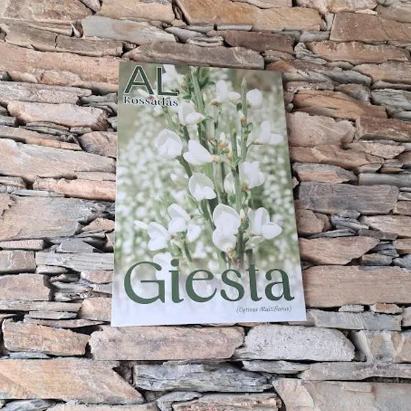 AL Rossadas Giesta，位于阿加尼尔的酒店
