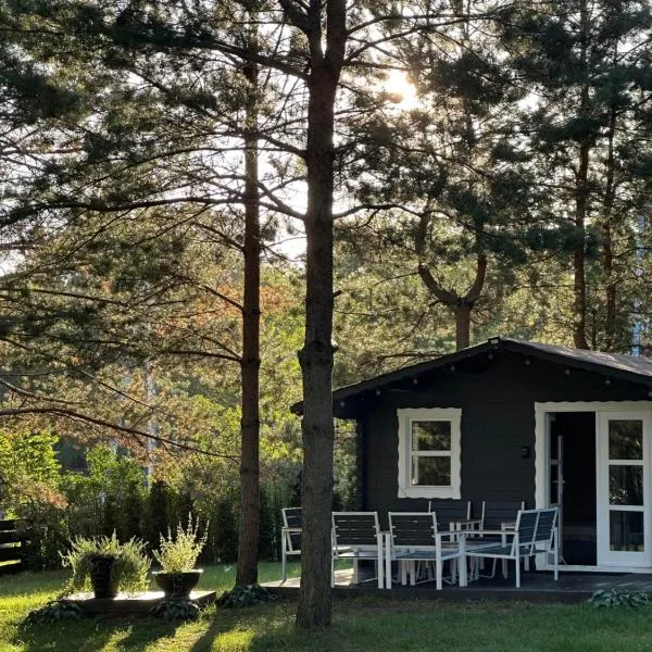 Spyglyne，位于Braziūkai的酒店