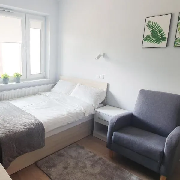 Pokoje Noclegi Brzozowski，位于Wysokie Mazowieckie的酒店