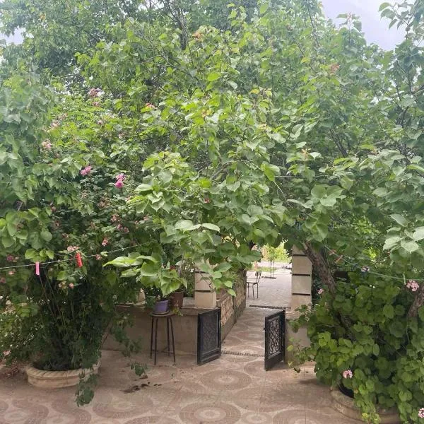 Duplexe familiale avec jardin，位于Hamma Bouziane的酒店
