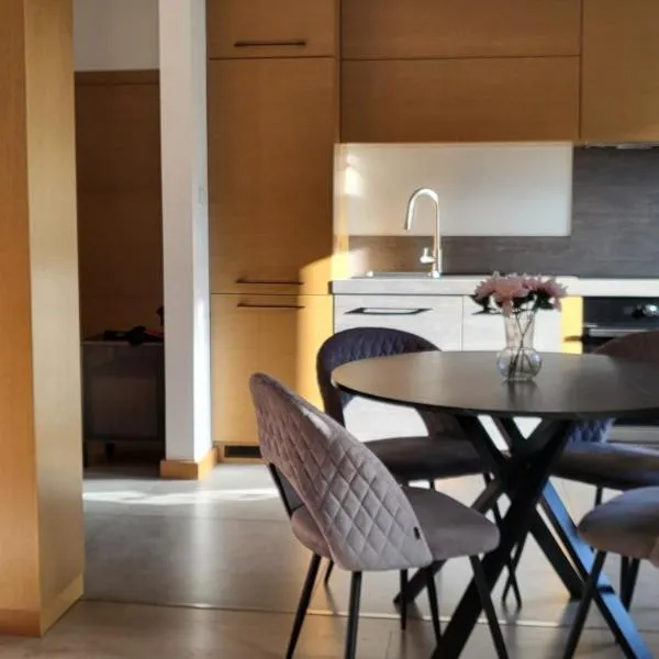 Apartament Wenecja z ogródkiem,parking，位于大波兰地区奥斯特鲁夫的酒店