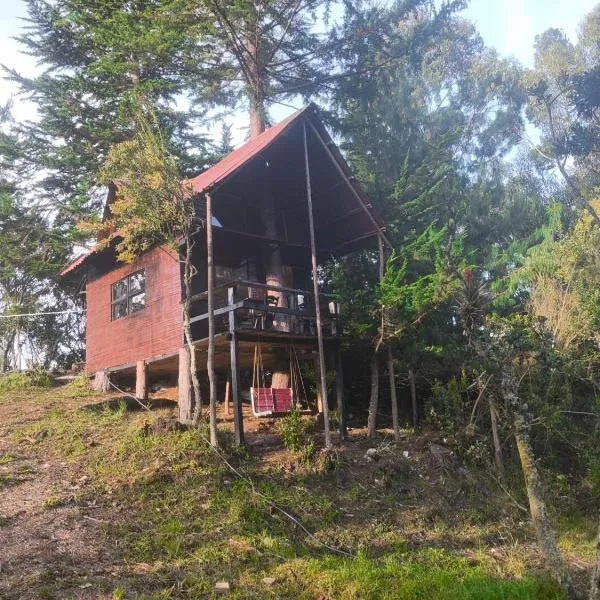 Cabaña sesquile del arbol，位于Sesquilé的酒店