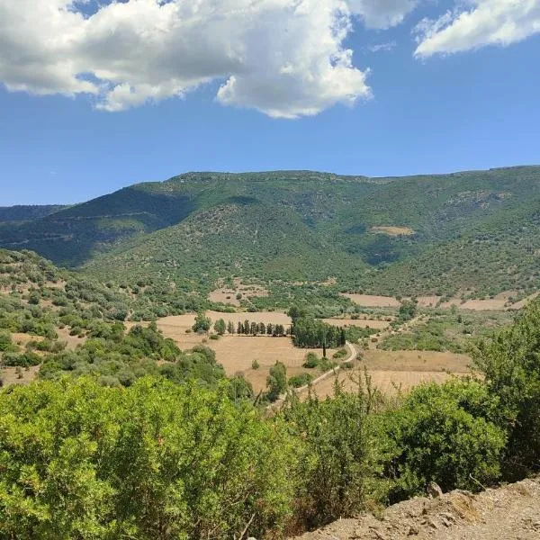 Pramas hospitality - Agriturismo，位于Ballao的酒店