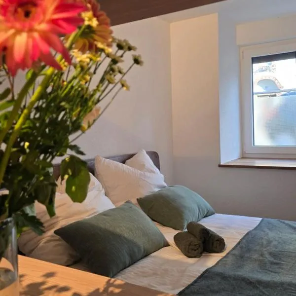 Modern Living - Neubau-Studio mit Stil，位于罗拉赫的酒店