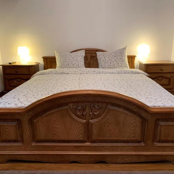 Pensiunea Bergwald Rasnov Brasov by BuySellRent，位于莱斯诺夫的酒店