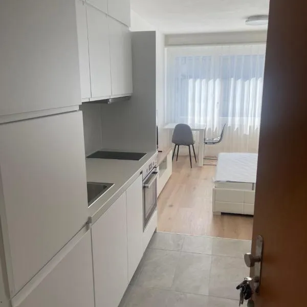 Komfortables Apartment für Urlaub in Triesen，位于特里森的酒店